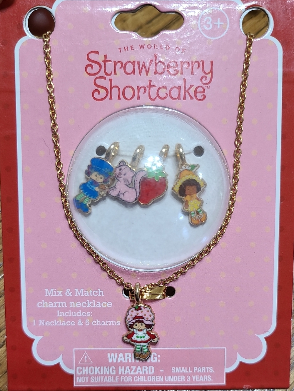 The World by Strawberry Shortcake Necklace 5 Charm Set